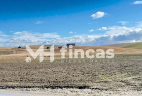 Utrera 364000&nbsp;m²
