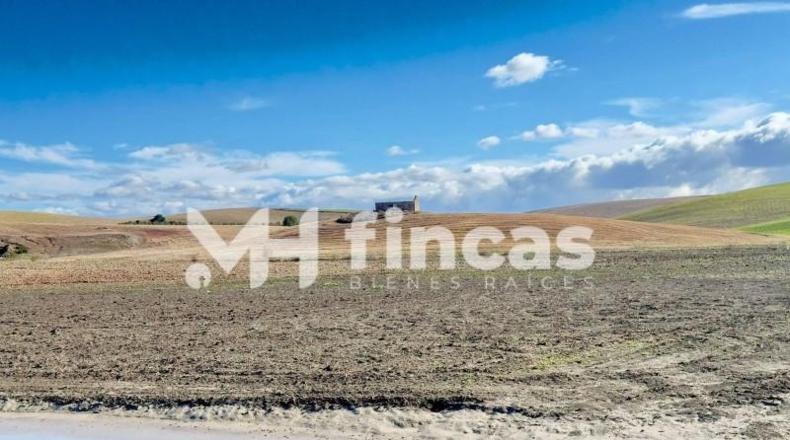Seville - Utrera - 364000m2