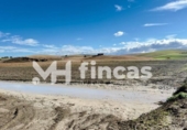Parcela urbanizable en venta en la España, Utrera, ref: TR363521 foto