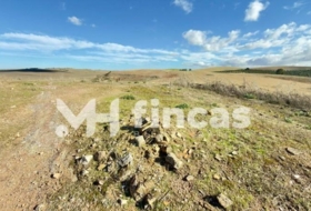 Utrera 364000&nbsp;m²
