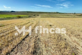 Utrera 364000&nbsp;m²