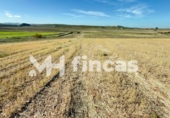 Parcela urbanizable en venta en la España, Utrera, ref: TR363521 foto