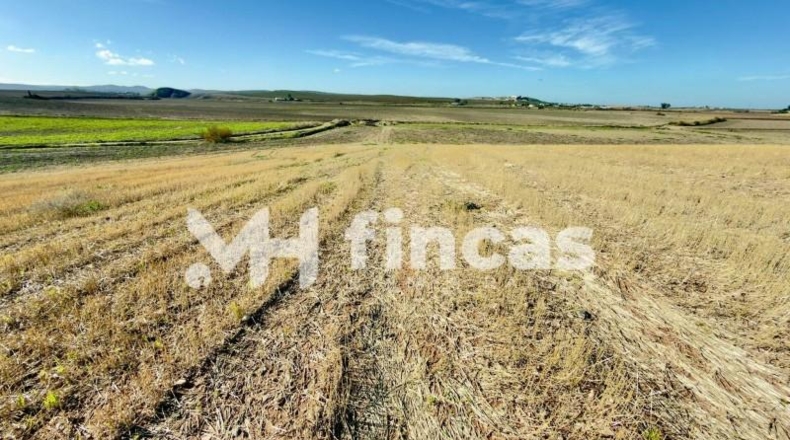 Seville - Utrera - 364000m2