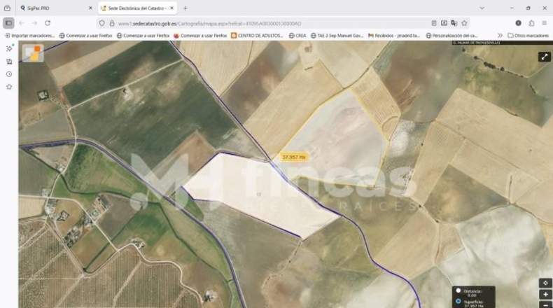 Seville - Utrera - 364000m2