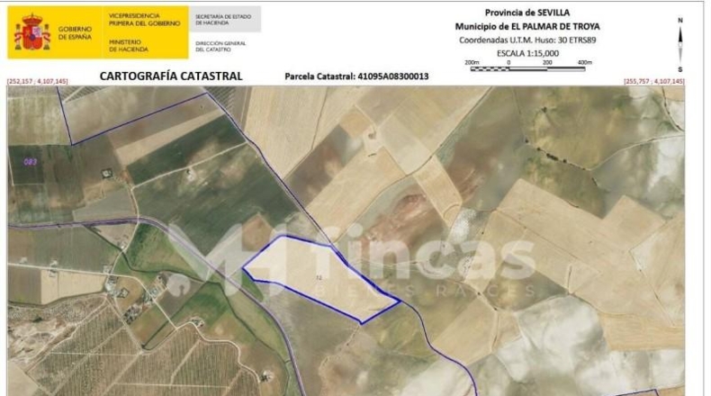 Seville - Utrera - 364000m2