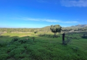 Terreno no urbanizable en venta en la España, Felanitx, ref: TR167601 foto