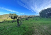 Terreno no urbanizable en venta en la España, Felanitx, ref: TR167601 foto