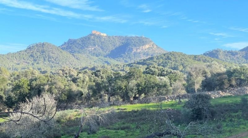 Islas Baleares - Porreres - 23000m2