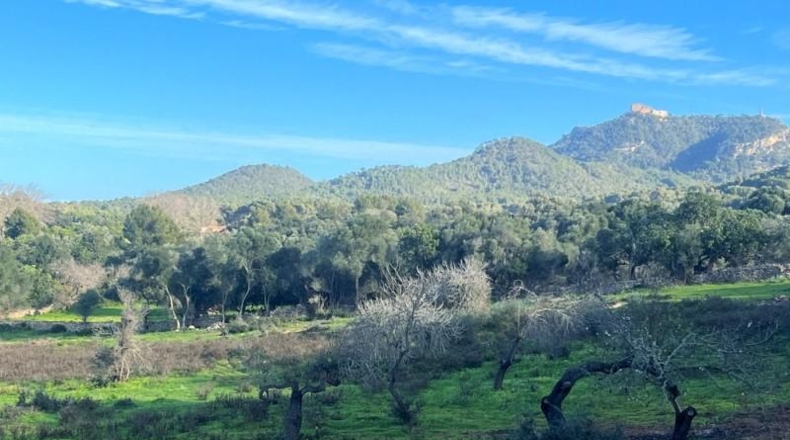 Islas Baleares - Porreres - 23000m2