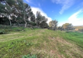 Terreno no urbanizable en venta en la España, Felanitx, ref: TR167601 foto