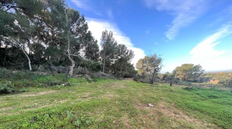 Islas Baleares - Porreres - 23000m2