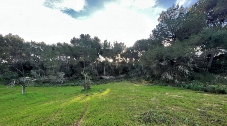 Islas Baleares - Porreres - 23000m2