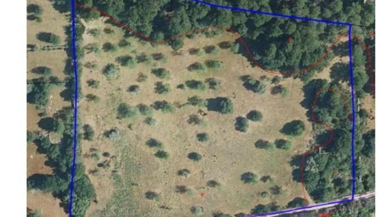 Islas Baleares - Porreres - 23000m2