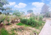 Casa de camp amb terreny en venda a la España, Lleida, ref.: TR145508 foto