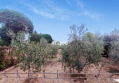 Casa de camp amb terreny en venda a la España, Lleida, ref.: TR145508 foto