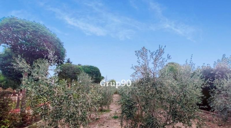 Lérida - els Alamús - 21628m2