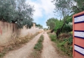 Casa de camp amb terreny en venda a la España, Lleida, ref.: TR145508 foto