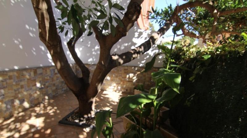 Malaga - Torremolinos - 282m2