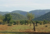 Chalet independiente con terreno en venta en la España, Inca, ref: TR397902 foto