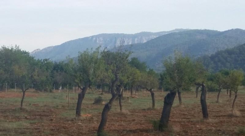 Сарагоса - Zaragoza - 32000m2