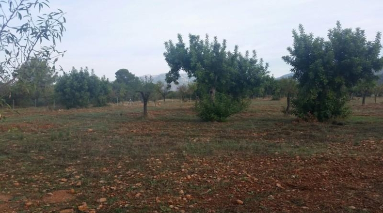 Сарагоса - Zaragoza - 32000m2