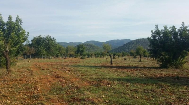 Сарагоса - Zaragoza - 32000m2