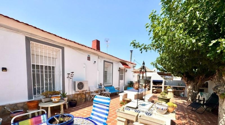 Alicante - Dolores - 1524m2