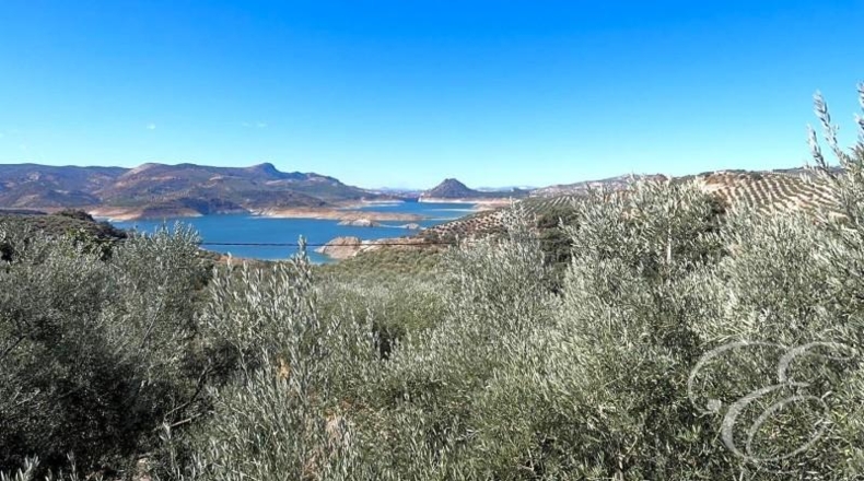 Córdoba - Rute - 1586m2