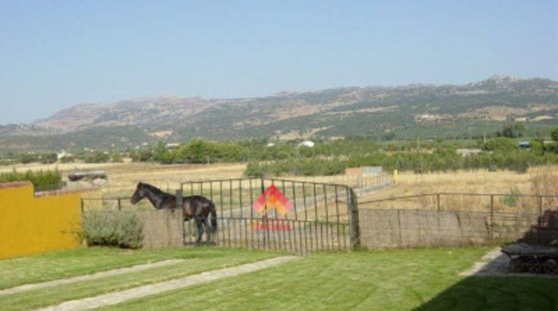 Córdoba - Zuheros - 10000m2