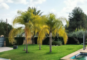 Chalet independiente con terreno en venta en la España, Palomares del Río, ref: TR138530 foto
