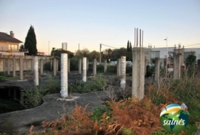 Foto 6