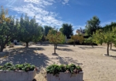 Chalet independiente con terreno en venta en la España, Villar del Olmo, ref: TR345247 foto