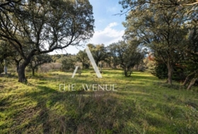 Villanueva de la Cañada 4109&nbsp;m²
