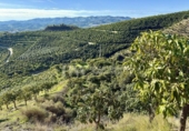 Chalet independiente con terreno en venta en la España, Vélez-Málaga, ref: TR382345 foto