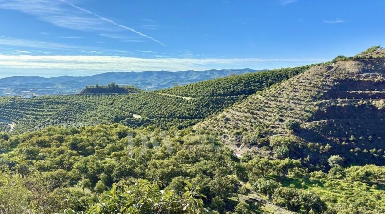 Malaga - Vélez-Málaga - 22982m2