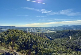 Vélez-Málaga 22982&nbsp;m² 
