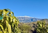 Chalet independiente con terreno en venta en la España, Vélez-Málaga, ref: TR382345 foto