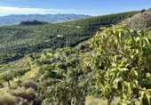 Chalet independiente con terreno en venta en la España, Vélez-Málaga, ref: TR382345 foto
