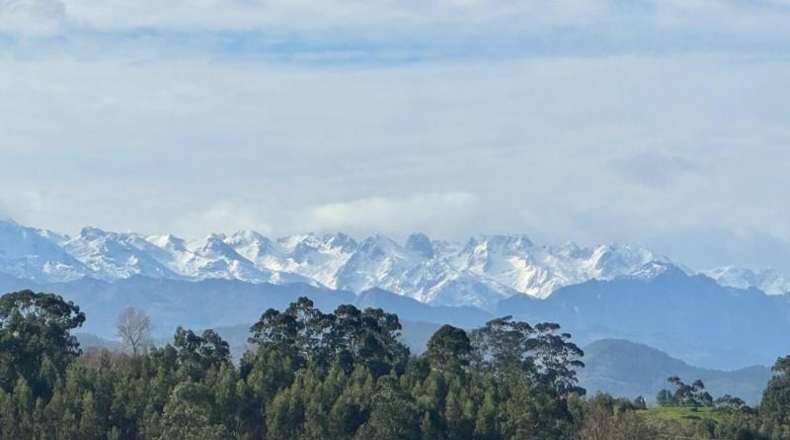 Cantabria - Comillas - 1276m2