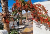 Chalet independiente con terreno en venta en la España, Playa de Mogán, ref: TR395737 foto