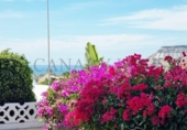 Chalet independiente con terreno en venta en la España, Playa de Mogán, ref: TR395737 foto