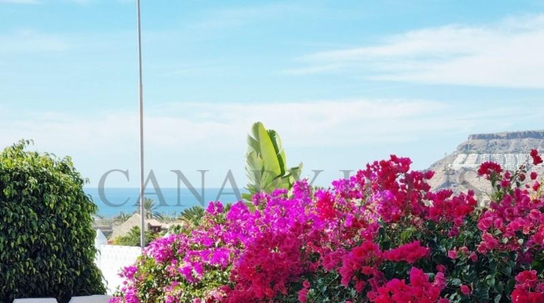 Las Palmas - Mogán - 677m2