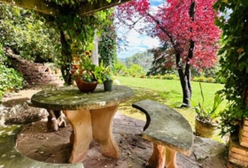 Foto 12