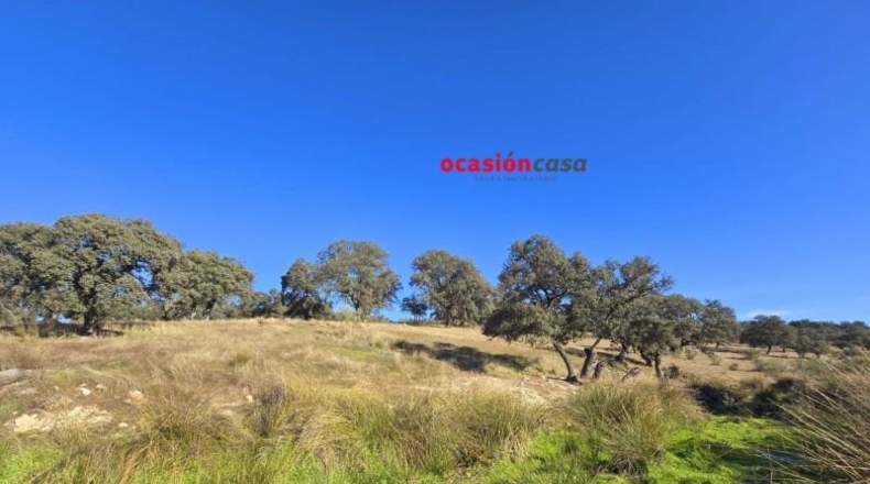 Córdoba - Torrecampo - 800000m2