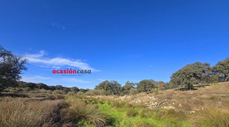 Córdoba - Torrecampo - 800000m2
