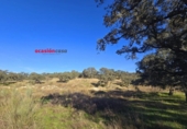 Xalet independent amb terreny en venda a la España, Torrecampo, ref.: TR198125 foto