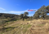 Xalet independent amb terreny en venda a la España, Torrecampo, ref.: TR198125 foto