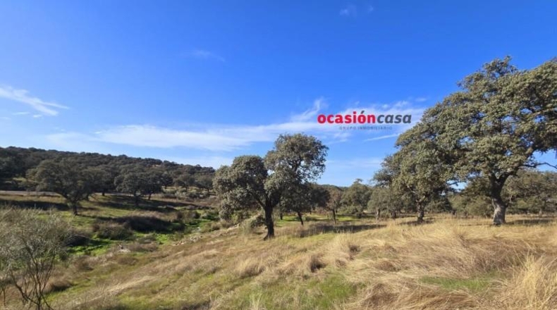 Córdoba - Torrecampo - 800000m2