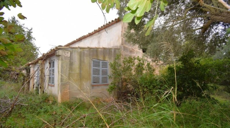 Islas Baleares - Muro - 50419m2