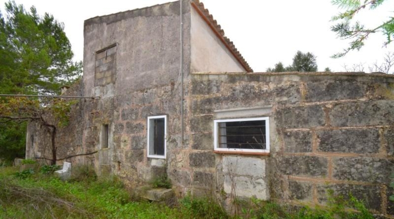 Islas Baleares - Muro - 50419m2